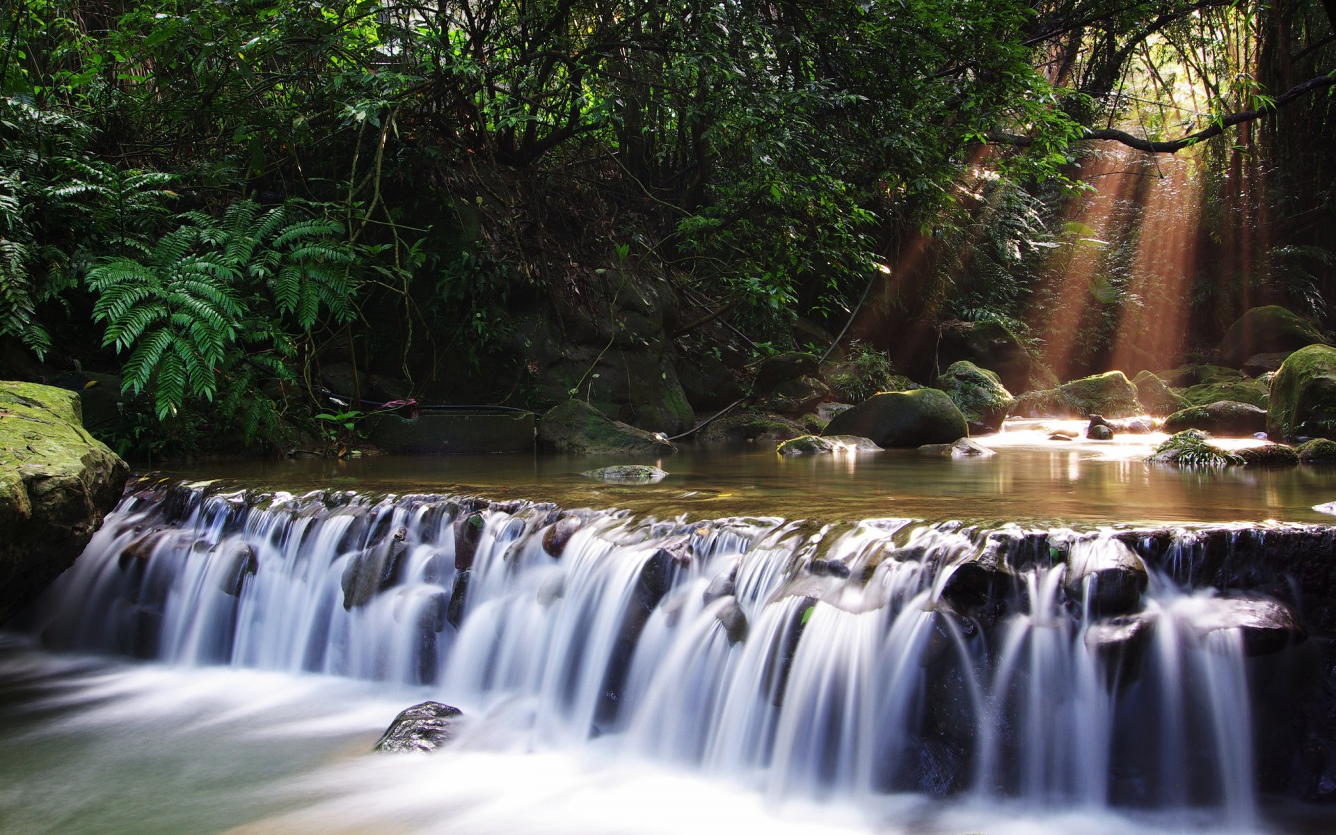 fiume cascata foresta alberi