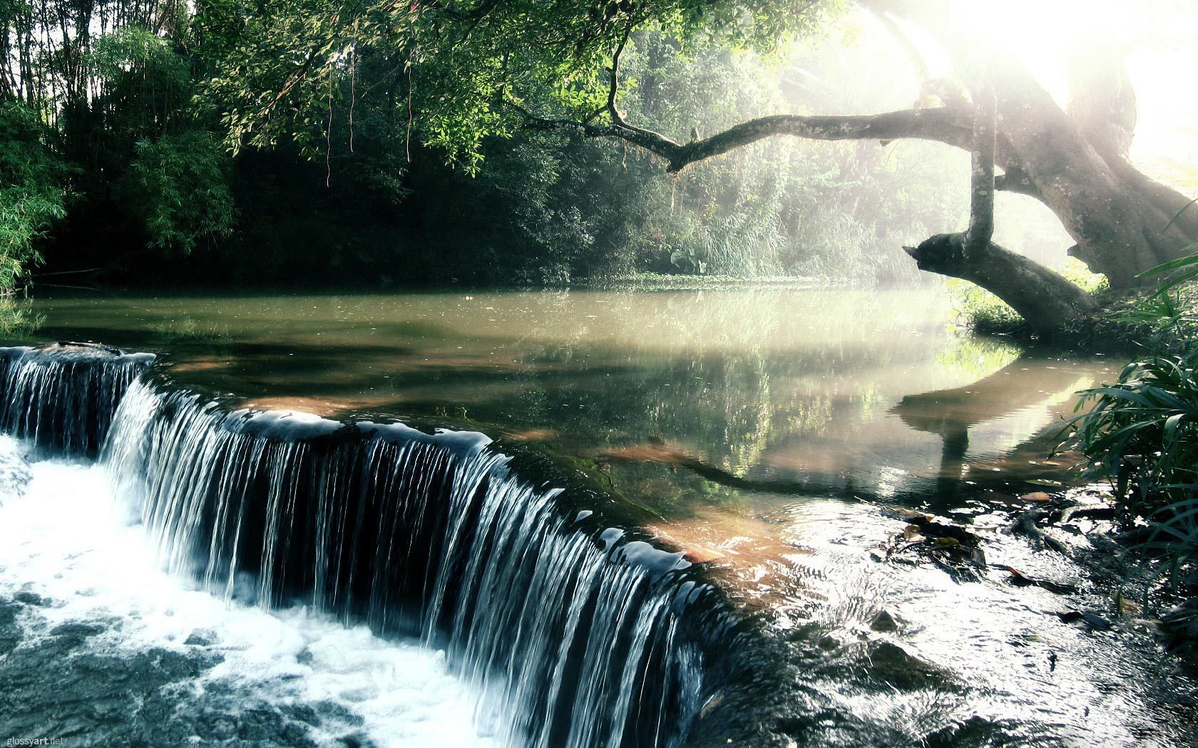 cascade rivière lumière