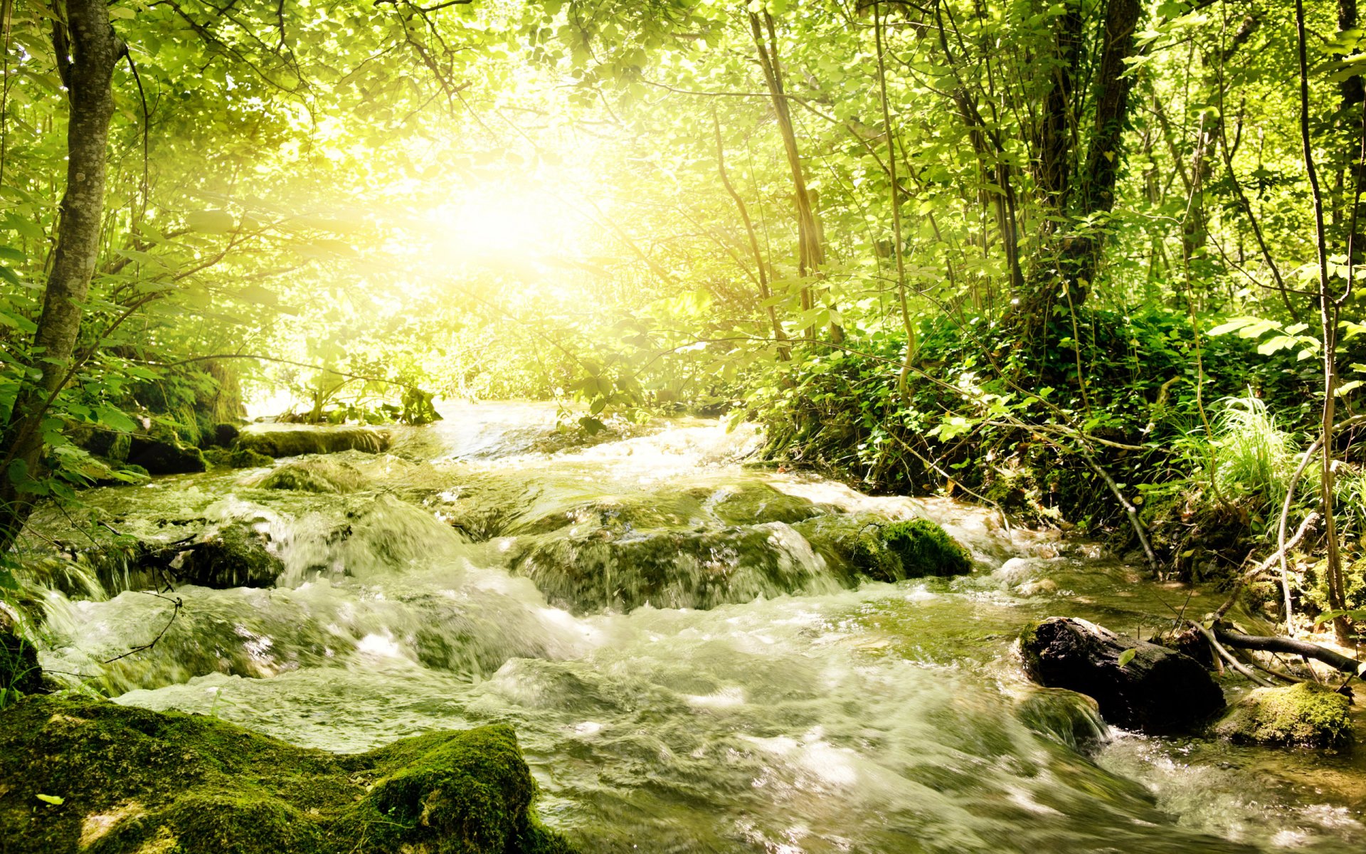 tempestoso fiume verde soleggiato.luce