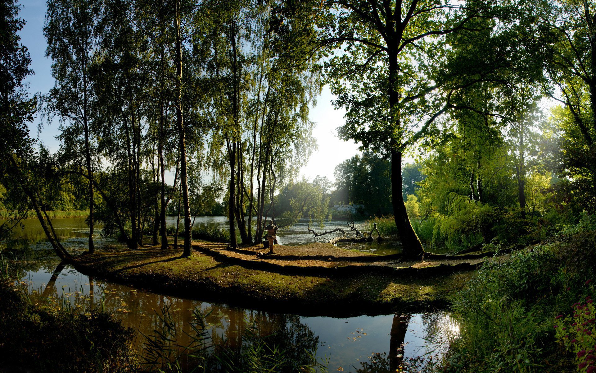 los árboles el sol el agua la reflexión la verde