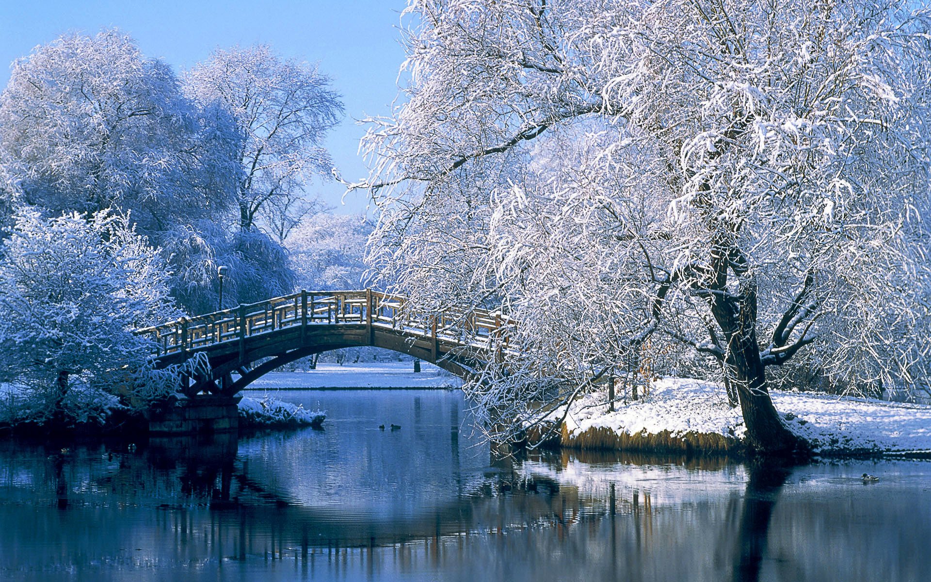 allemagne pont hiver