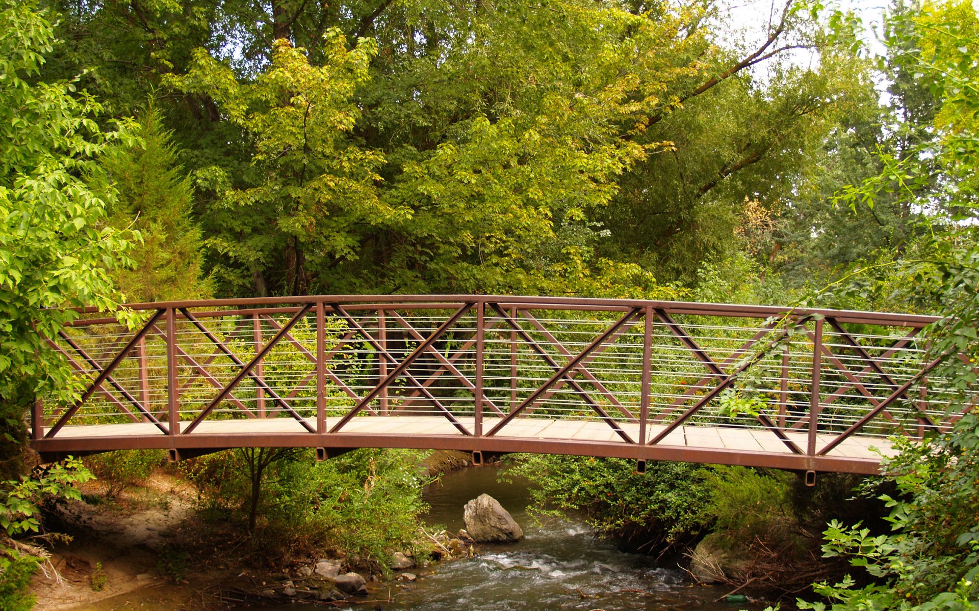 pont verdure ruisseau