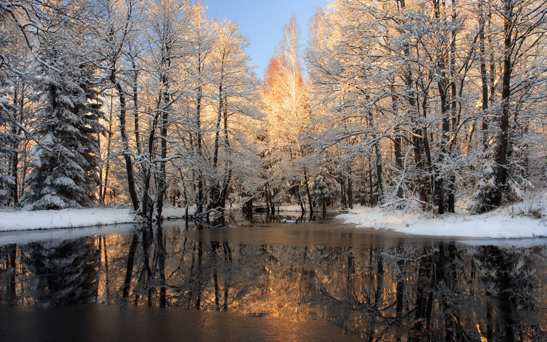 naturaleza invierno nieve árboles agua foto