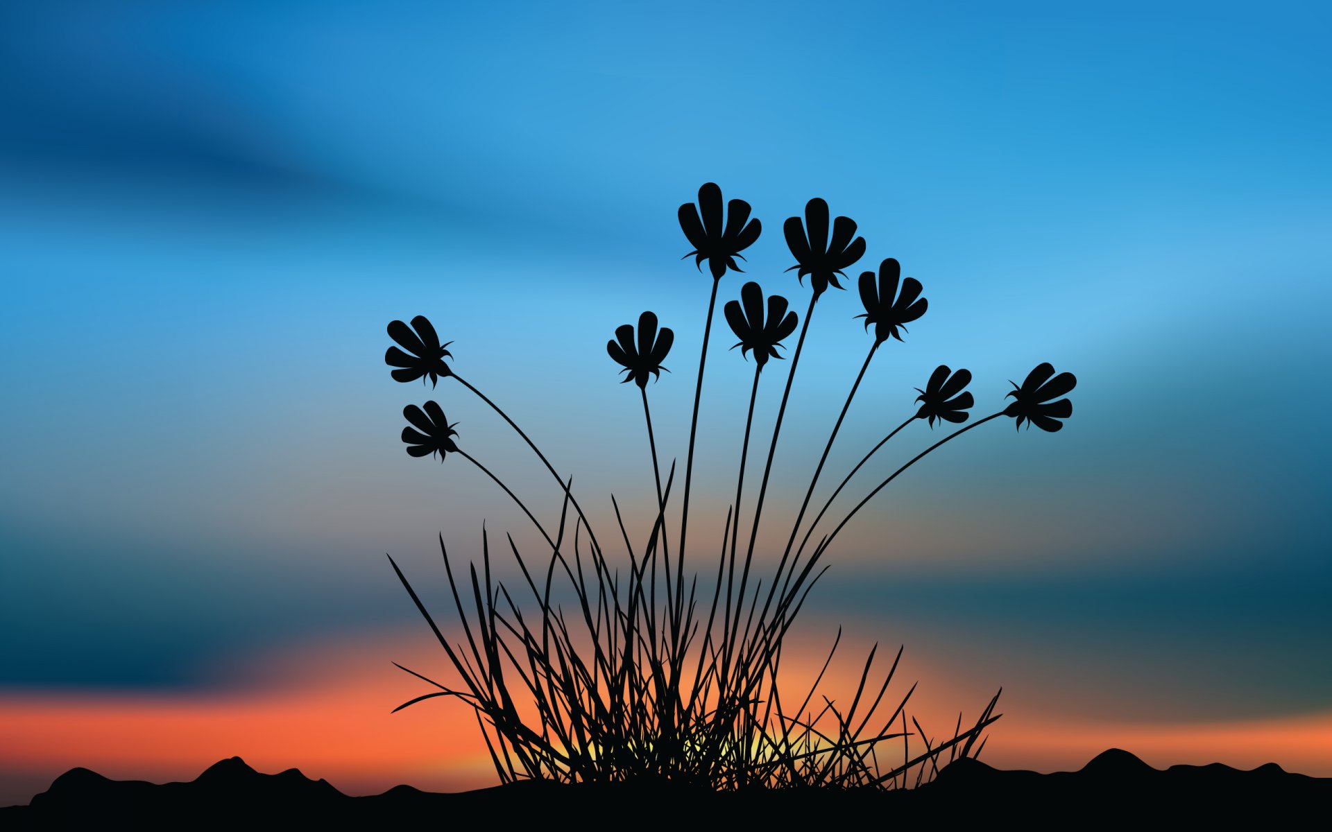 fleurs coucher de soleil ciel paysage