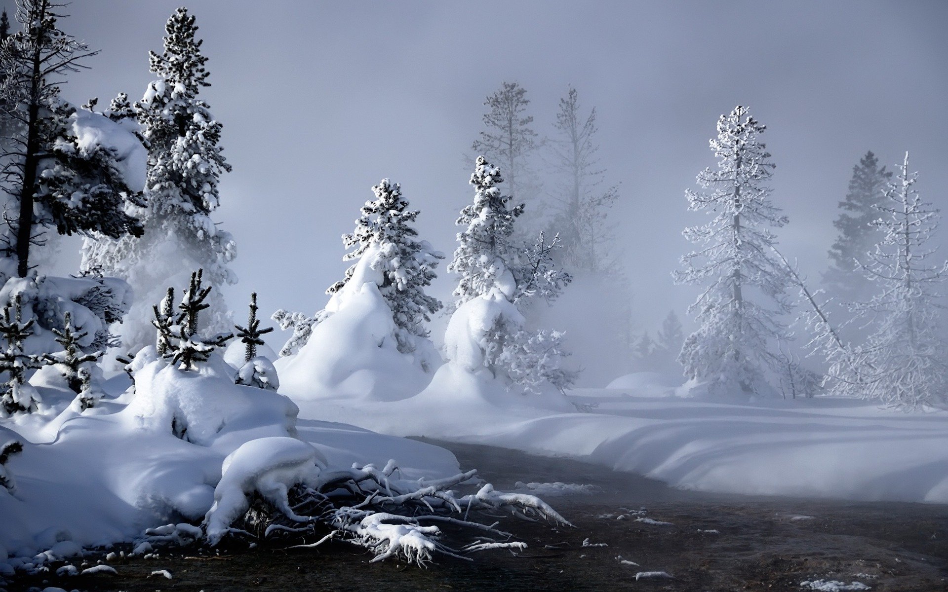 inverno neve alberi di natale cumuli di neve