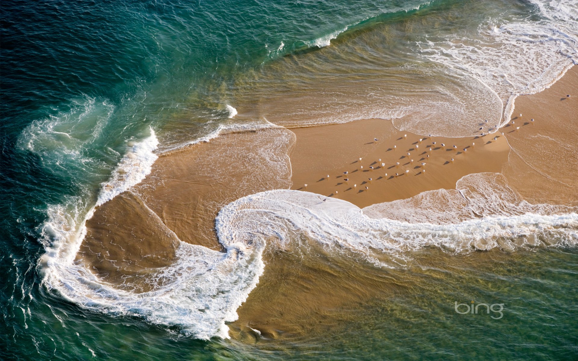 onda spiaggia mare