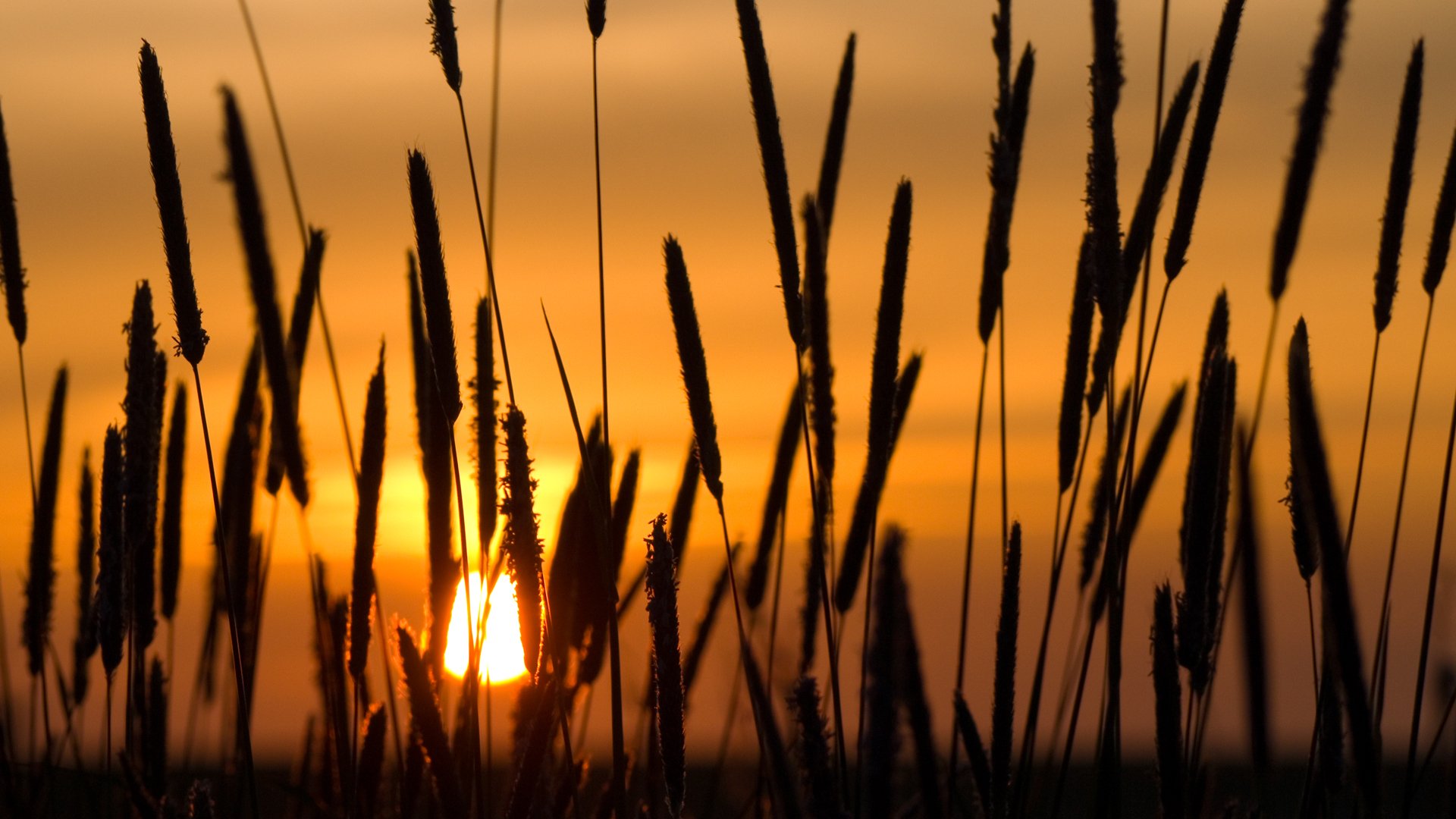 ährchen sonnenuntergang sonne