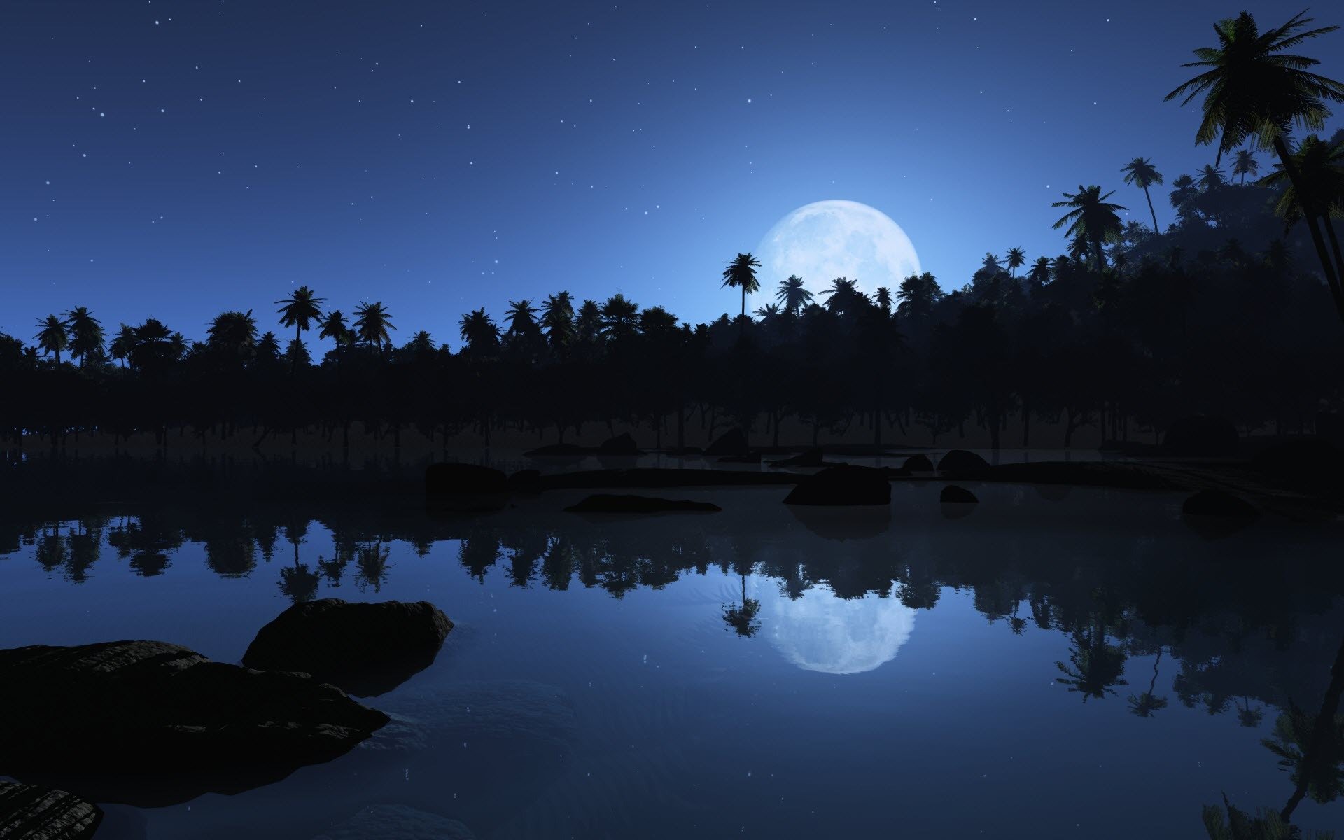 palm moon star reflection