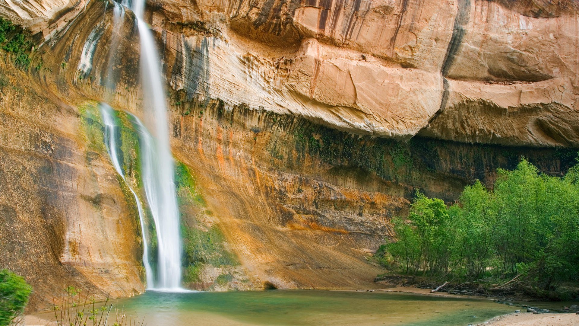 cascata roccia alberi