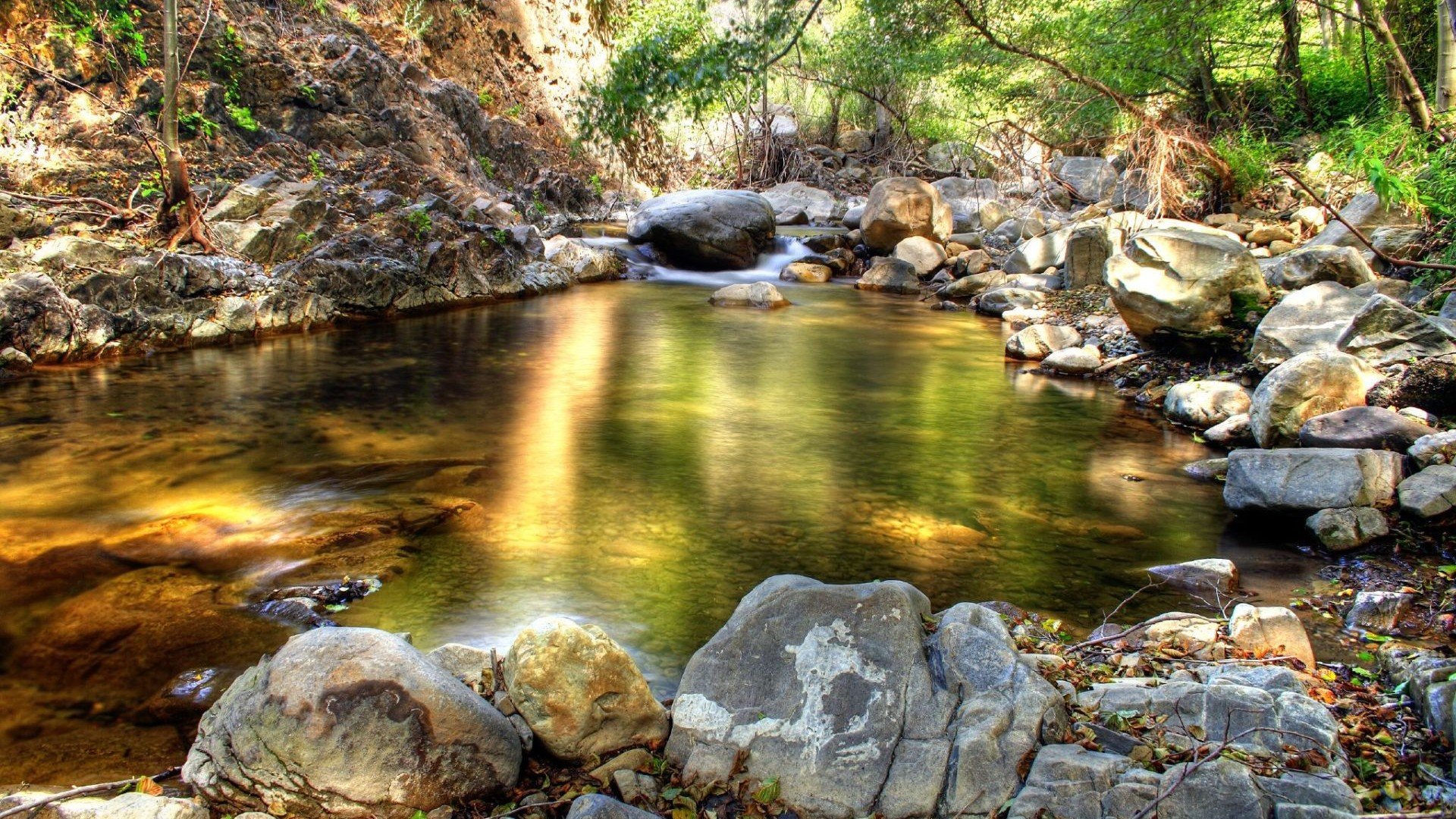 arroyo bosque piedras