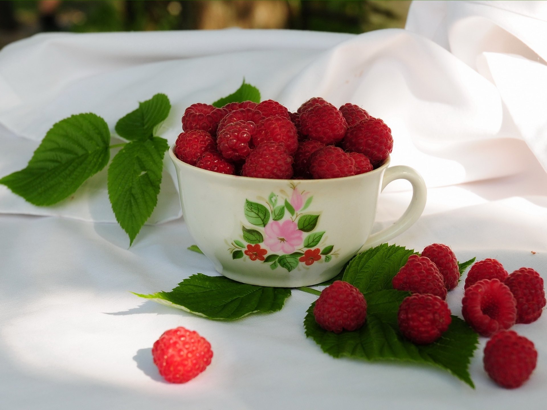 himbeeren becher blätter