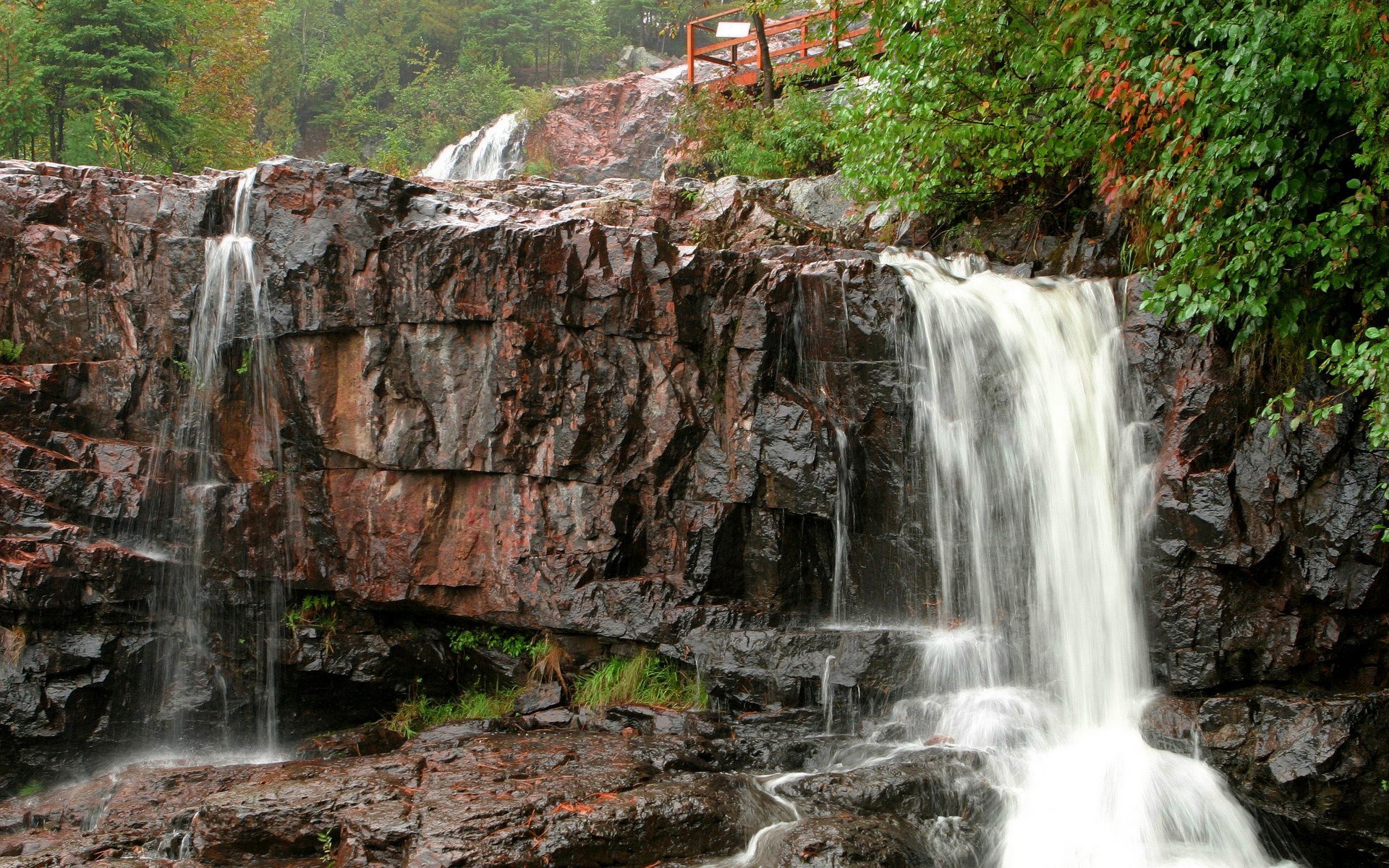 forest bridge lumps rocks waterfall motion