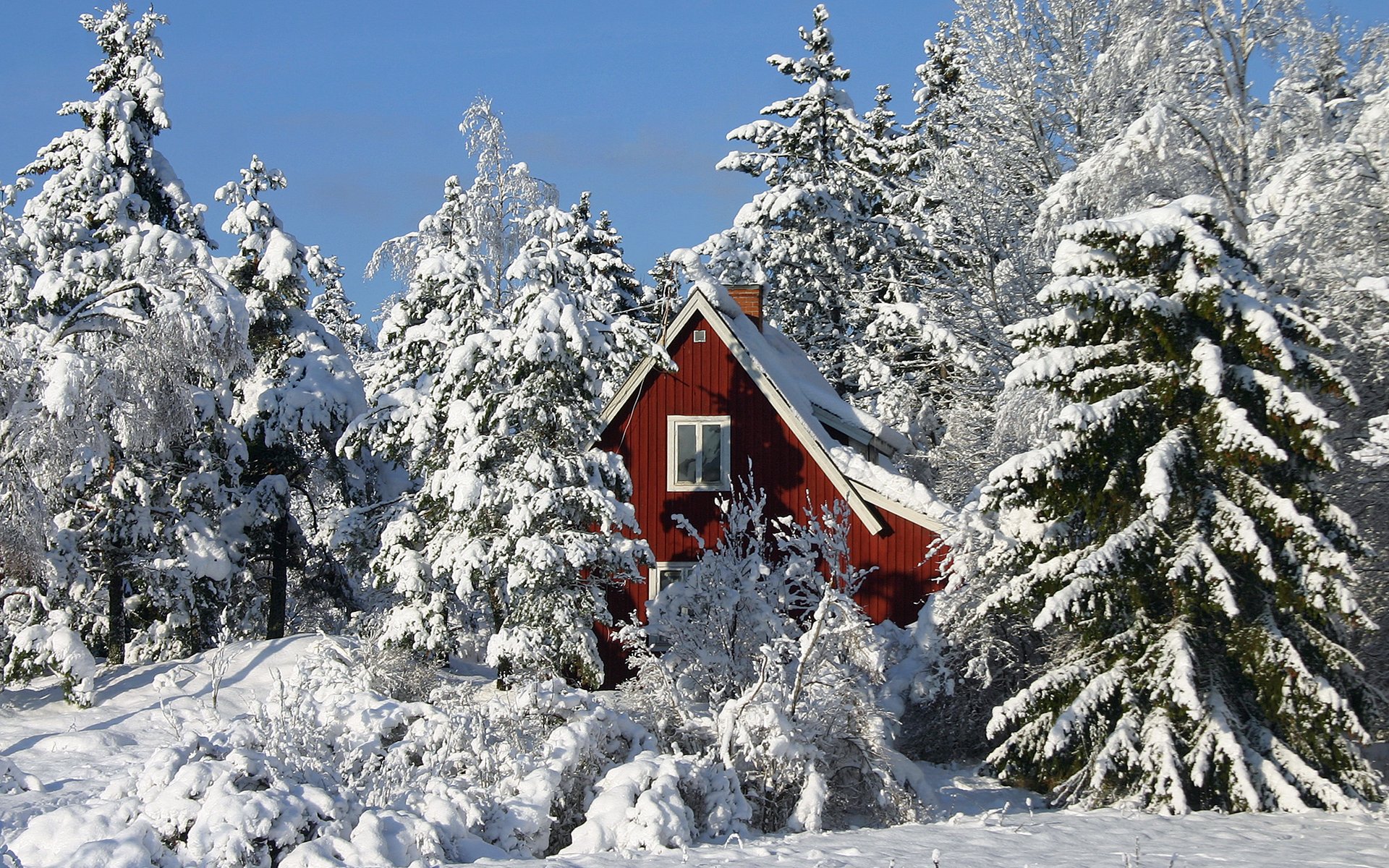 winter tree house