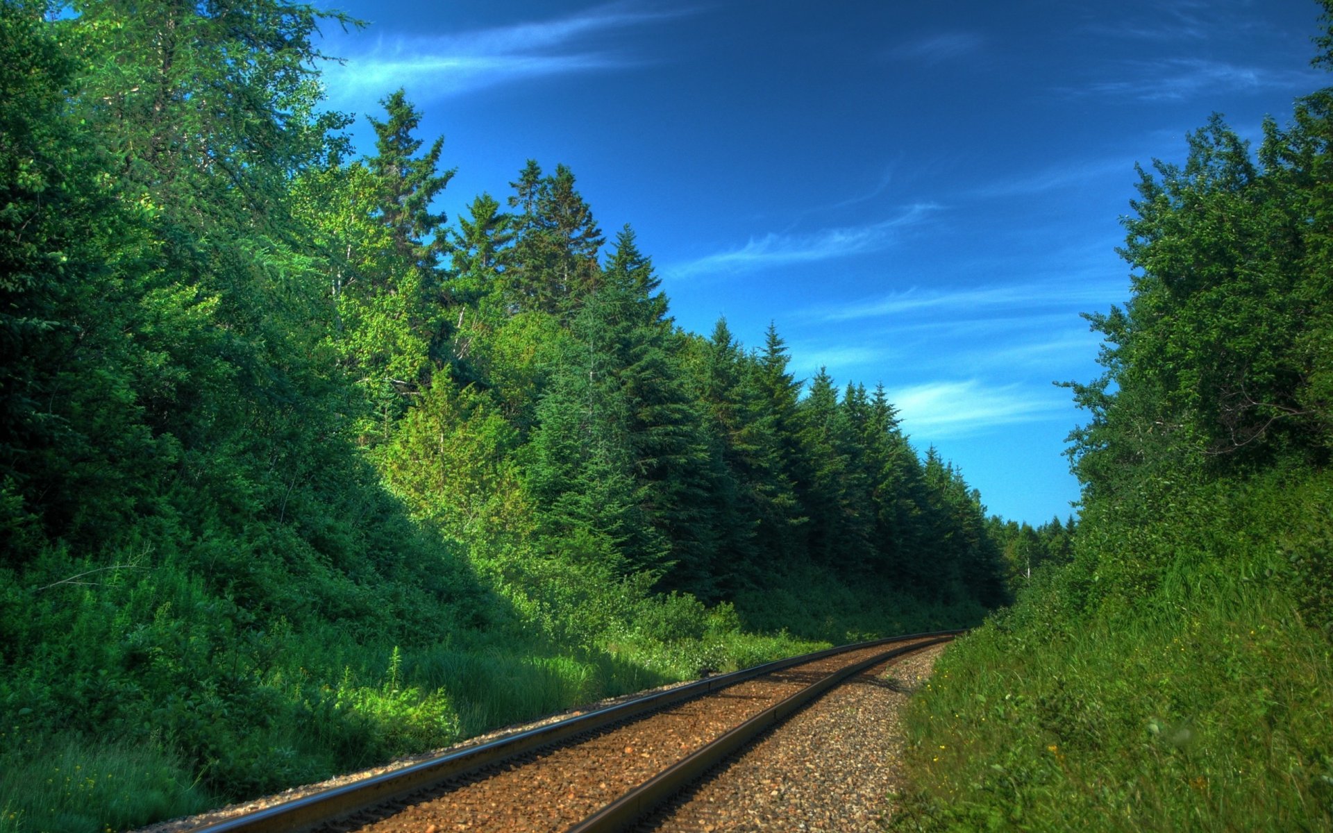 chemin de fer chemins de fer chemins rails traverses arbres forêts trains transport nature photo