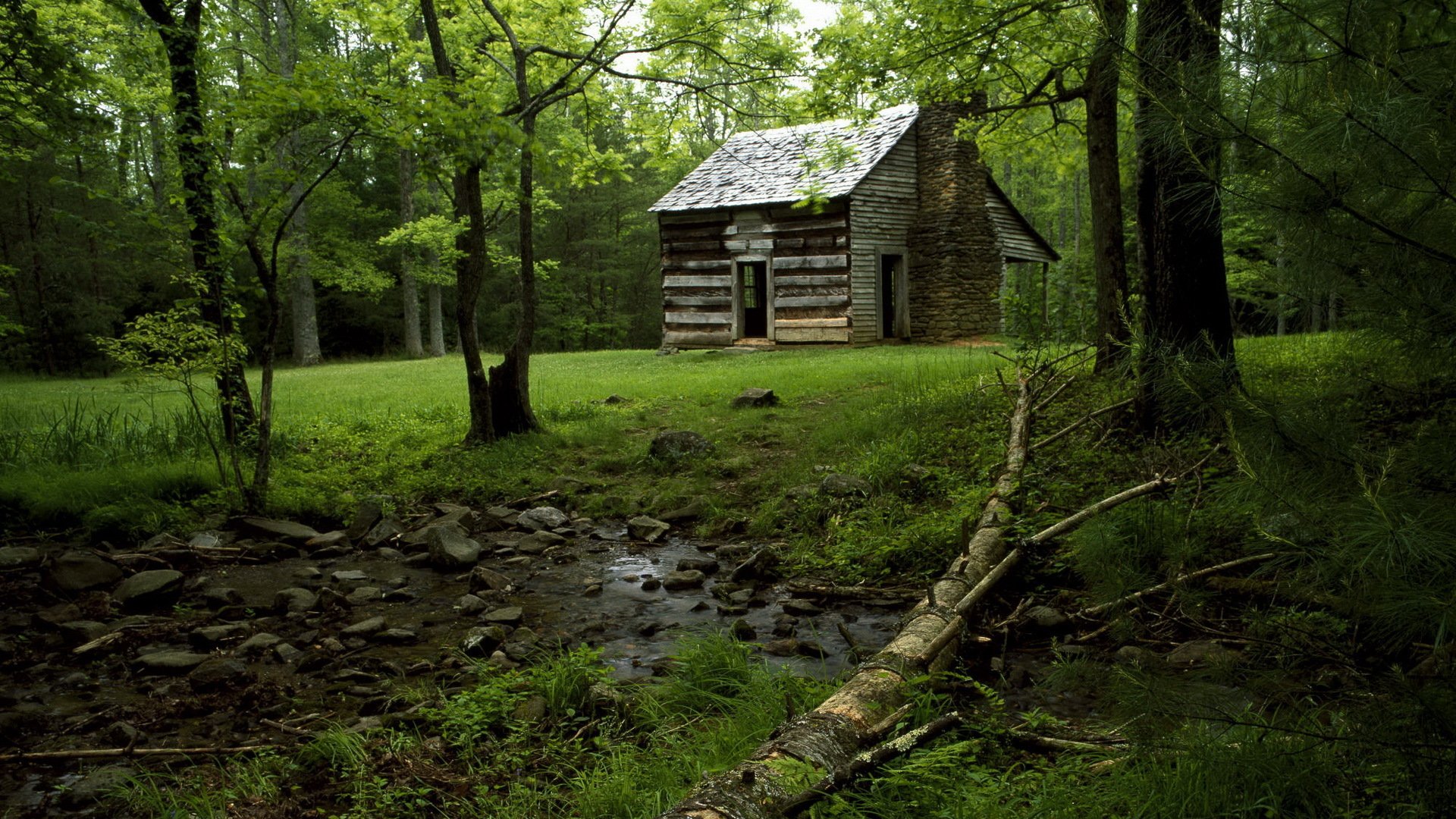 forêt maison verdure romantique