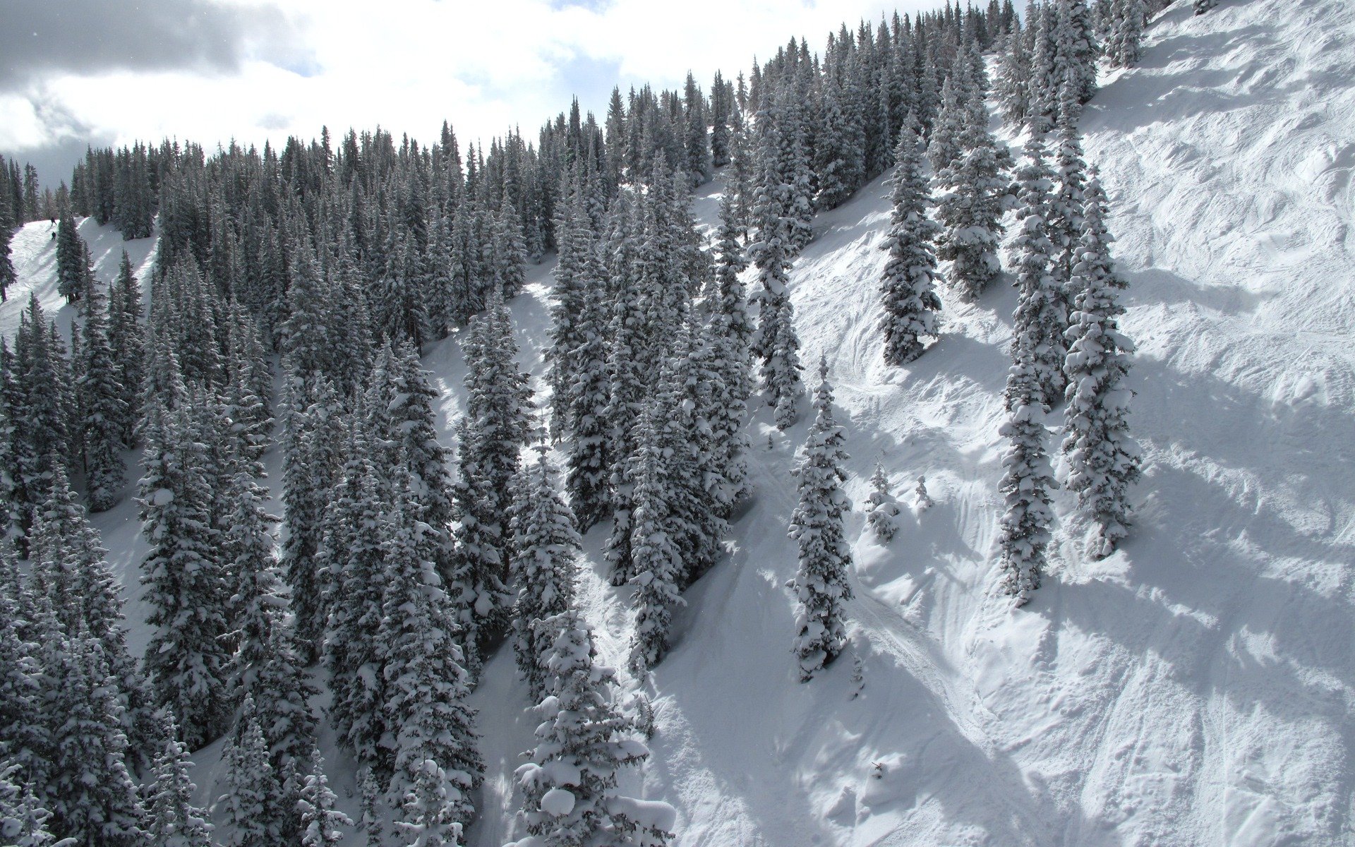 hiver montagne neige pente