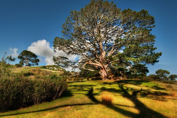 Qué hermosa naturaleza. Todo se calienta bajo el cálido sol