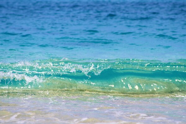 Sea wave on the beach