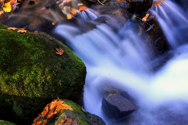 Cascata con elementi di muschio Redi e foglie