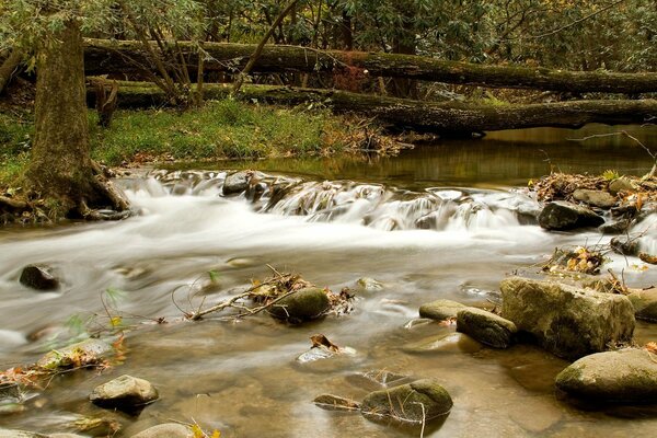 Cold water, my feet are freezing