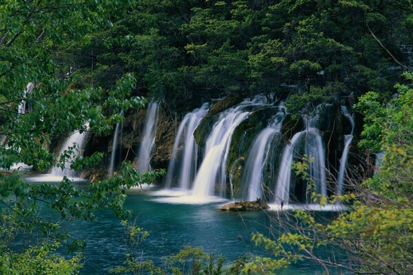 Cascading waterfall in a green forest