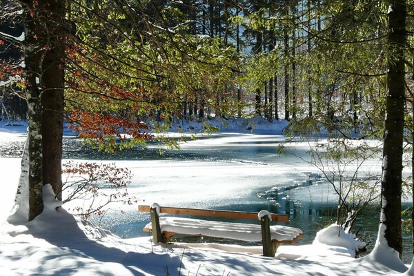 Romantic bench on the shore of a winter lake