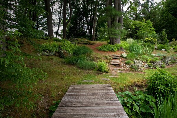 Bridge in the botanical garden