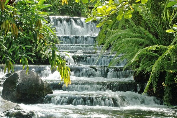 Schöner Wasserfall im Sommer in den Tropen