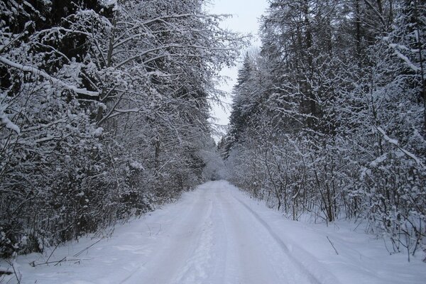 Winter road on the way to the unknown