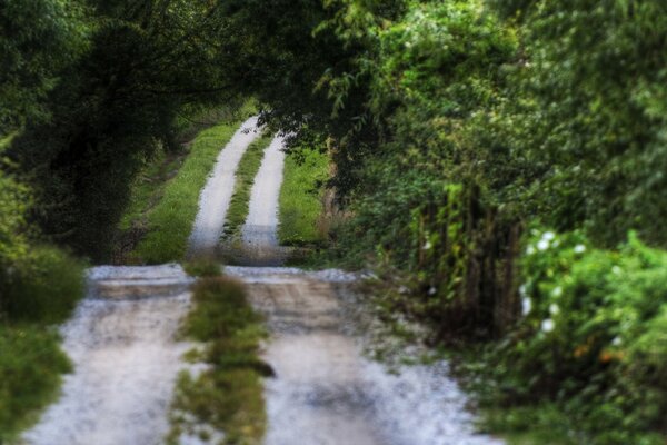 Romantische Straße inmitten einer malerischen Landschaft