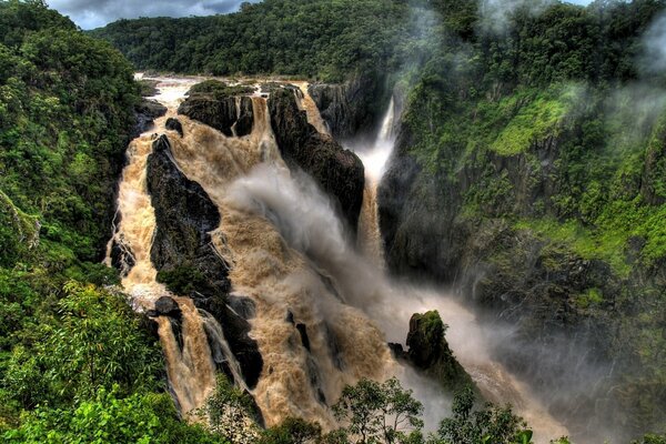 Cascada lechosa en medio de un matorral de niebla