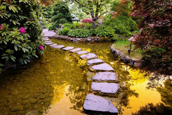 The Ornate Path to Wonderland