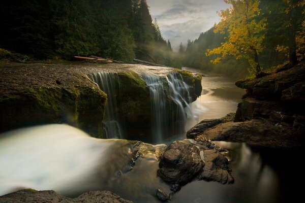 Forest waterfall falling into the river