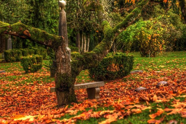 Mit Moos bewachsene Bänke und Grabsteine auf dem Herbstfriedhof