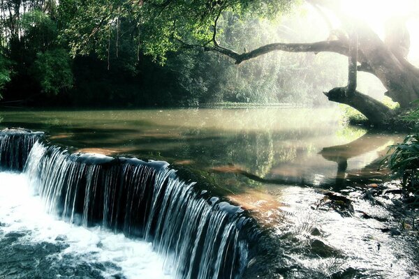 Forest waterfall in the rays of light