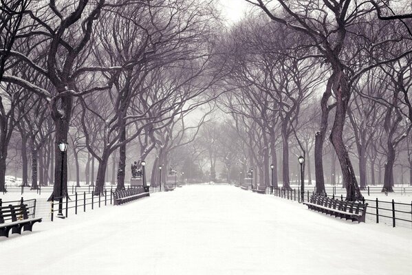 Empty snow alley in winter