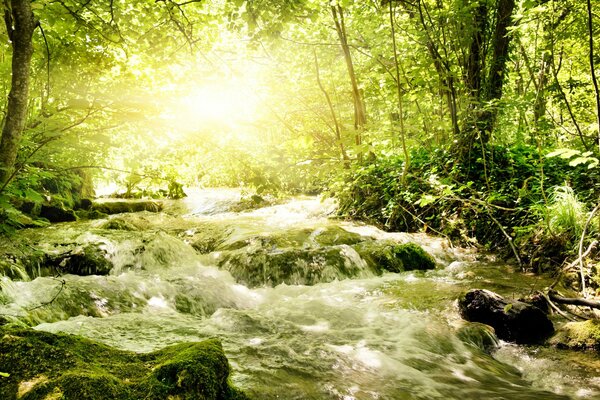 A stormy river with sunlight