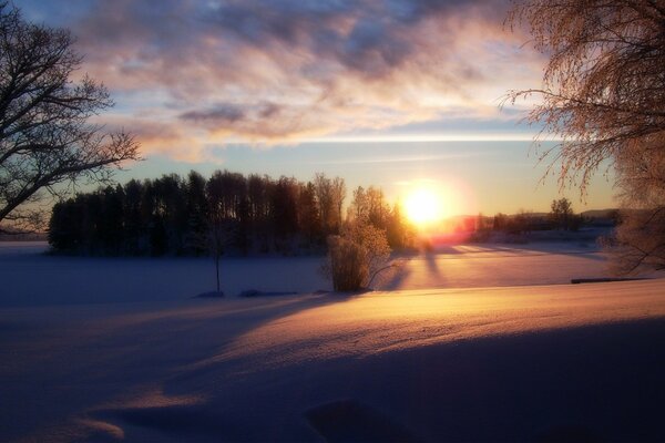 Invierno en el bosque al atardecer