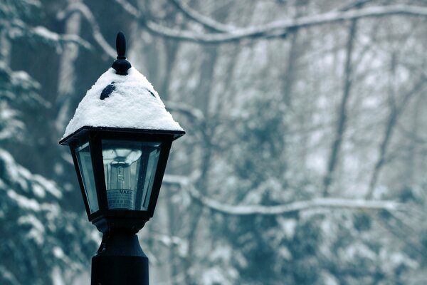 Lanterne d hiver dans la forêt