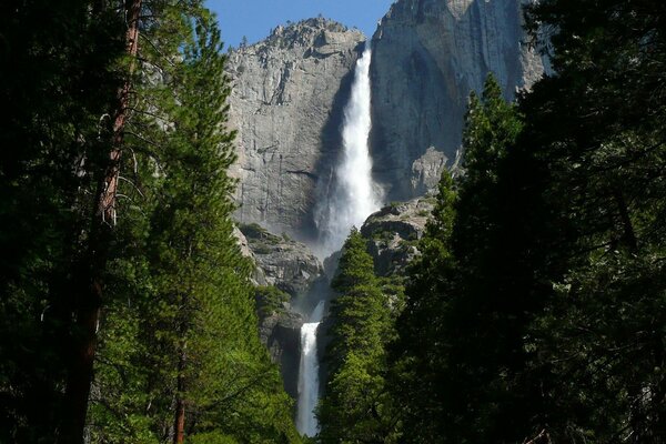 Landschaft mit hohem Wasserfall und Wald