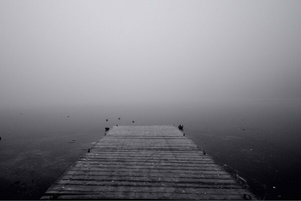 Fog enveloped the lake in the morning