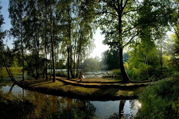 Vue inhabituelle de la rivière forestière