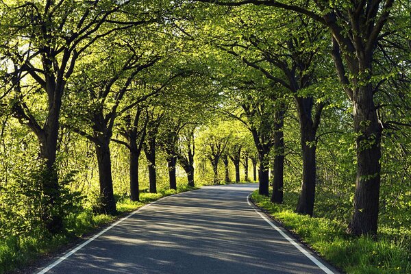 El parque de primavera siempre es hermoso