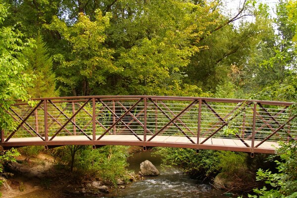 A reliable bridge among the greenery