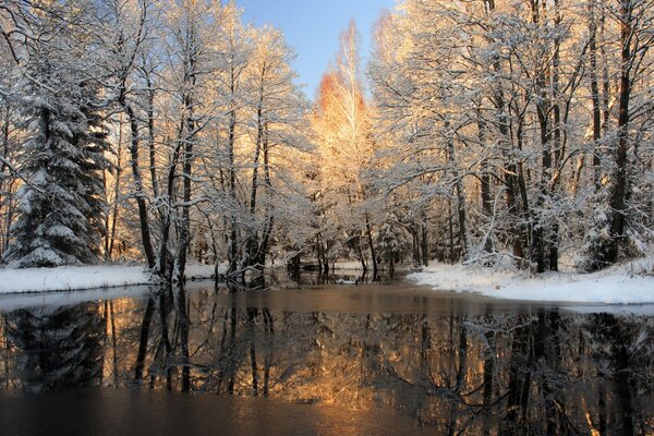 Winter Fluss inmitten des Waldes