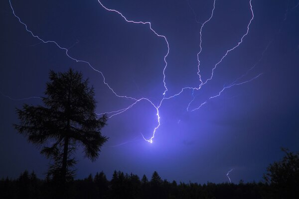 Foudre nocturne dans le ciel près d un arbre