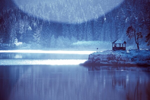 Un lago de invierno Mira hacia el bosque congelado