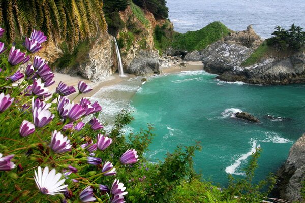 Rocce con fiori che sbocciano sullo sfondo del mare