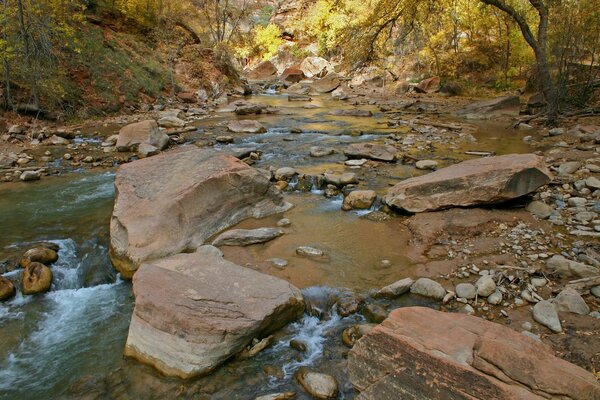 A river among rocks and trees