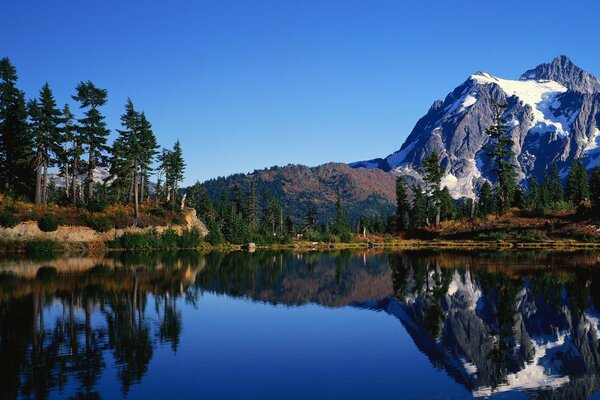 Beautiful landscape on the background of the lake